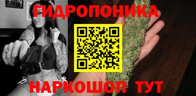твердый Будённовск