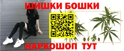 индика Бузулук