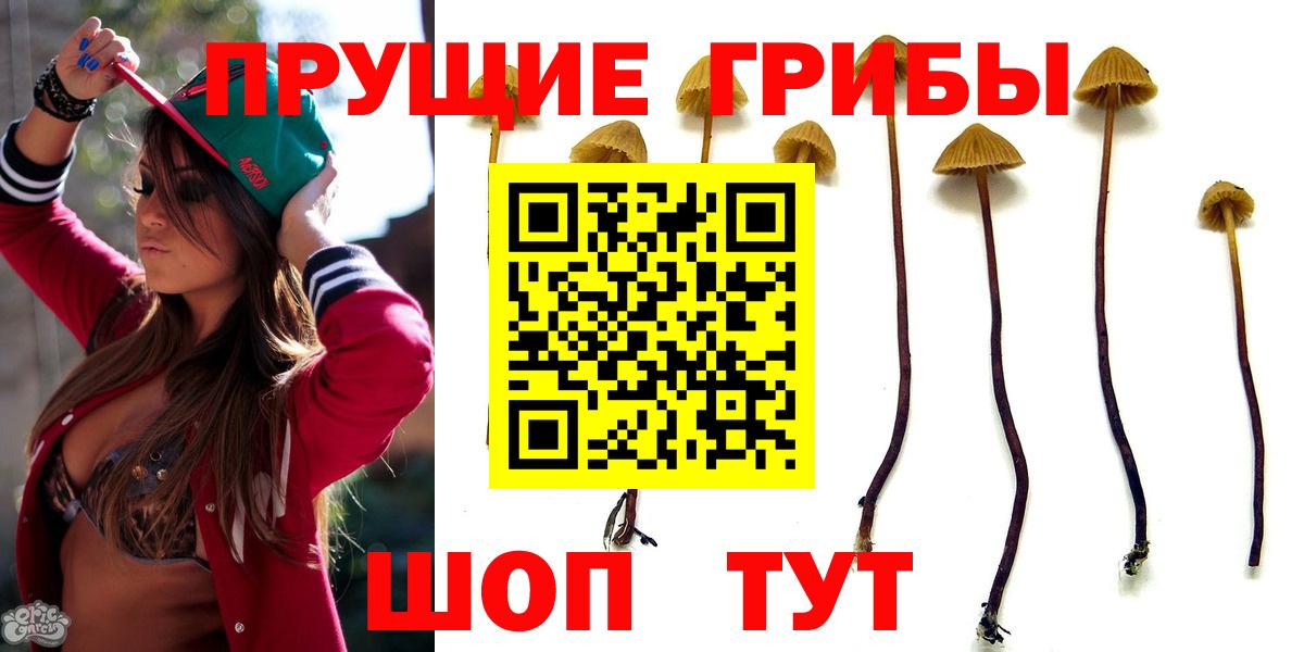 Псилоцибиновые грибы Cubensis Самара